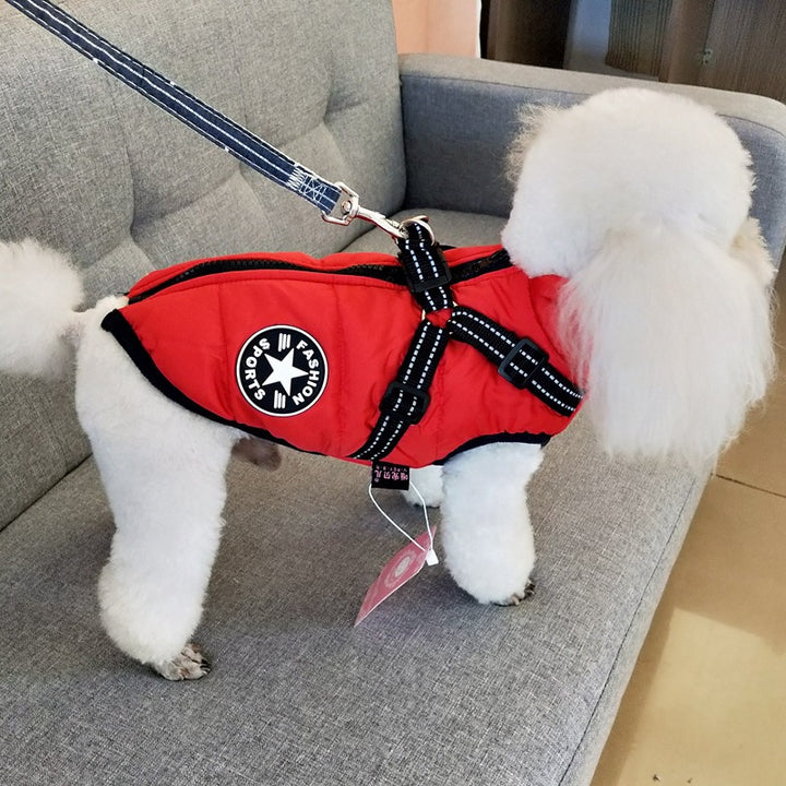 Warmer sportlicher Winter Hunde Mantel mit Harness XS - 4XL