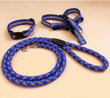 Stark reflektierende Hundeleine mit passendem Halsband