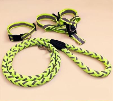 Stark reflektierende Hundeleine mit passendem Halsband