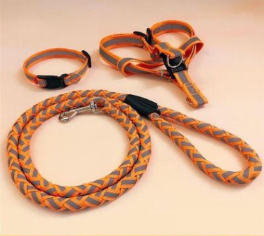 Stark reflektierende Hundeleine mit passendem Halsband