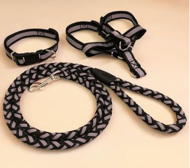 Stark reflektierende Hundeleine mit passendem Halsband