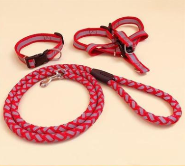 Stark reflektierende Hundeleine mit passendem Halsband
