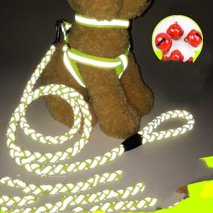 Stark reflektierende Hundeleine mit passendem Halsband
